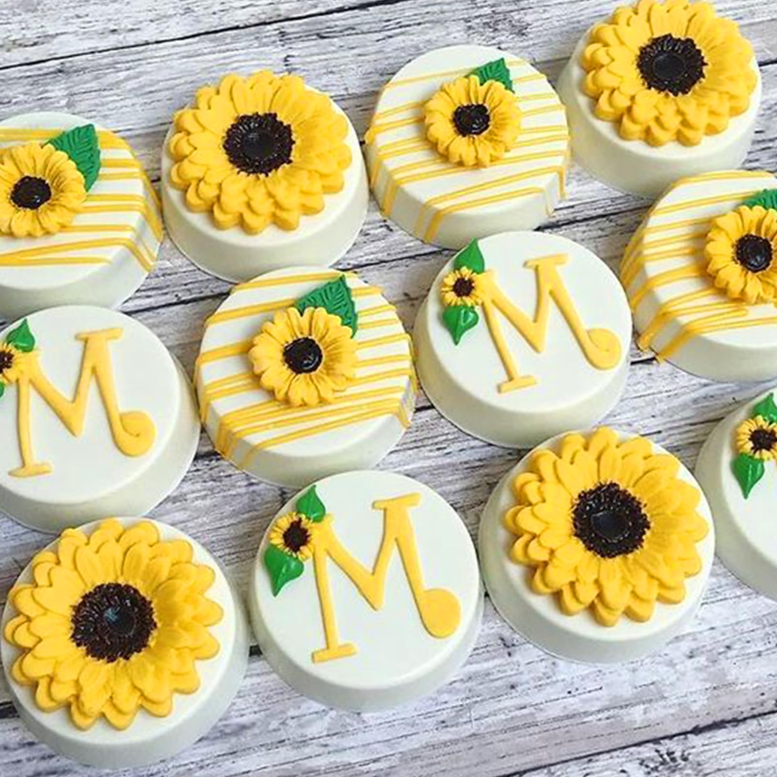 Palksky Cake Puck Mold Set, Chocolate Covered Cake Molds, Round Cake Pop Molds Silicone For Candy Chocolate Desserts Making Set